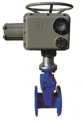 Задвижка с обрезиненным клином фланцевая ABRA с электроприводом Regada В Нижнем Тагиле 